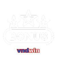 vndwin
