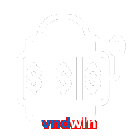 vndwin