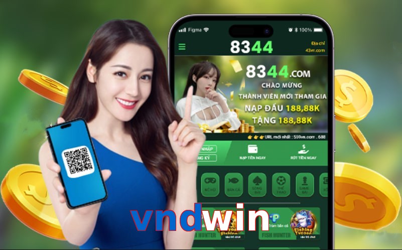 vndwin