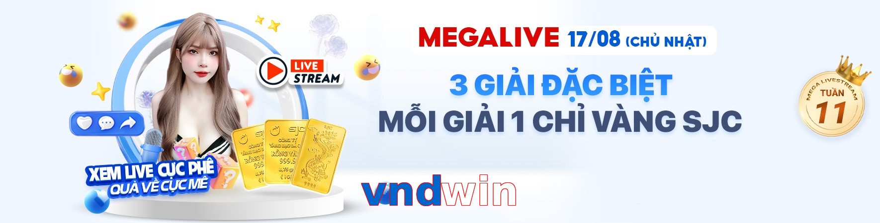vndwin