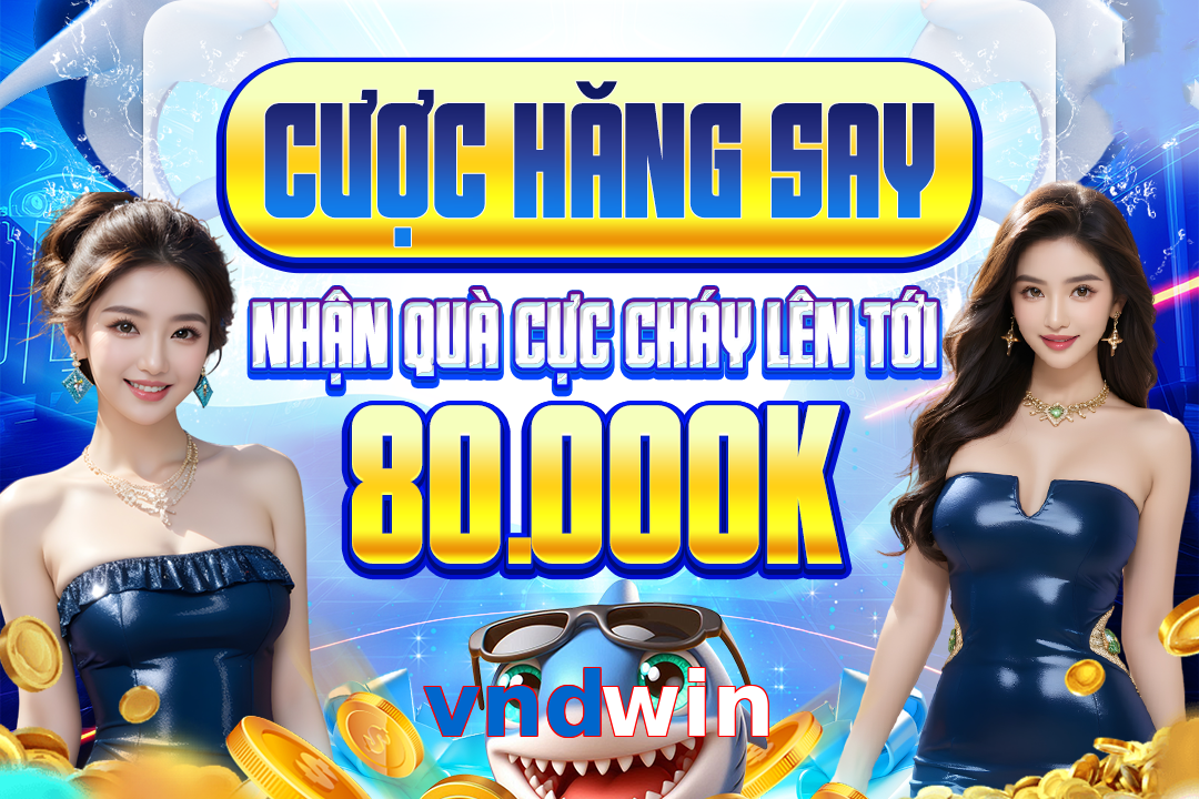 vndwin