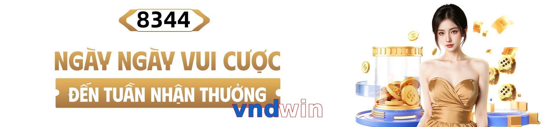 vndwin