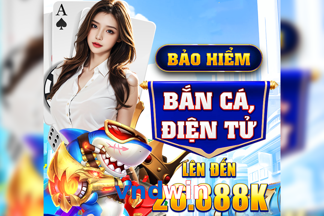 vndwin