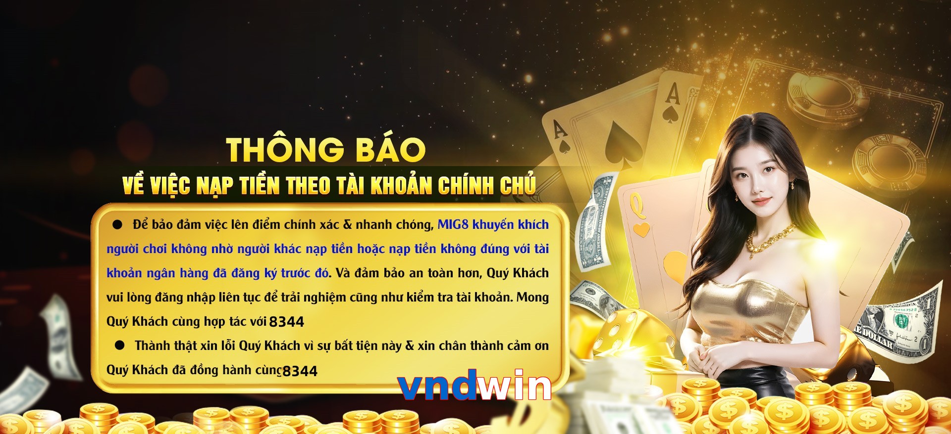 vndwin